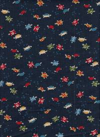 Blaustoff Schildkröte Blaustoff Schildkröte