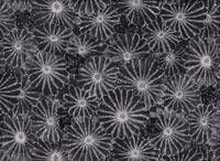 Kiku Shibori schwarz Kiku Shibori schwarz