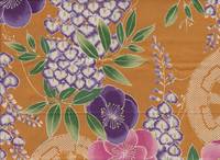 Hikara - Glyzinien mustard Hikara - Glyzinien mustard