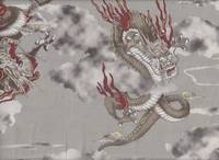 Drachen grau Drachen grau