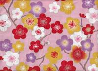 Ume groß rosa Ume groß rosa