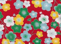 Ume groß rot Ume groß rot