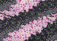 Sakura schwarz Sakura schwarz