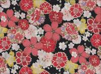 Sakura schwarz Sakura schwarz