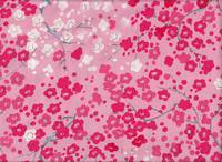 Ume rosa Ume rosa