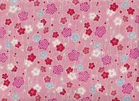 Ume rosa Ume rosa