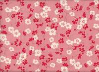 Ume rosa Ume rosa