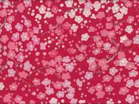 Ume rot Ume rot