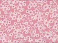 Sakura rosa Sakura rosa