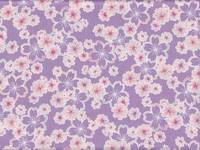 Sakura flieder Sakura flieder