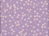 Sakura klein flieder Sakura klein flieder