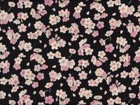 Blüten schwarz Blüten schwarz
