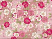 Sakura rosa Sakura rosa