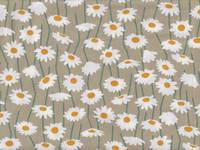 Daisy beige Daisy beige