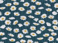 Daisy navy Daisy navy