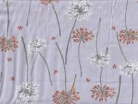 Moment - Dandelion flieder Moment - Dandelion flieder