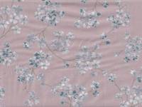 Moment - Blossom rose Moment - Blossom rose