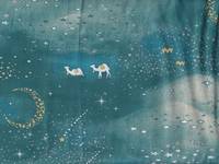 Luonto - Kamel türkis Luonto - Kamel türkis