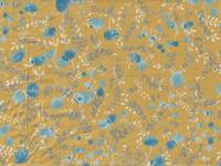 Natruea - Flower yellow Natruea - Flower yellow