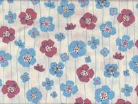 Kukkia weiß Kukkia weiß