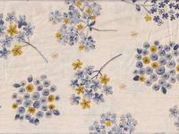 Moment natur Moment natur