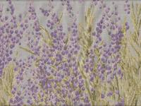 Moment - mimosa flieder Moment - mimosa flieder