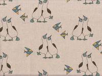 Boobies nature Boobies nature