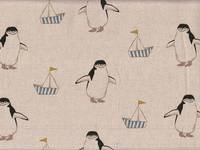 Penguin nature Penguin nature