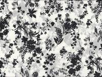 Blumen weiß Blumen weiß