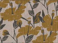 Hibiskus gelb Hibiskus gelb