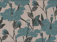 Hibiskus hellblau Hibiskus hellblau