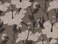 Hibiskus braun Hibiskus braun