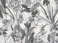 Herb flower white Herb flower white