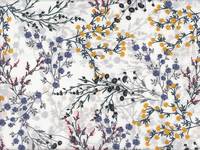 Blütenzweige weiß (Lawn) Blütenzweige weiß (Lawn)