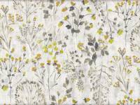 Wild Flower Wild Flower