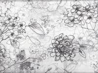 Draw a Flower weiß Draw a Flower weiß