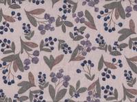 Blueberry branch nature Blueberry branch nature