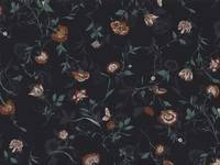 Distel schwarz (Lawn) Distel schwarz (Lawn)