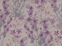 Wildblumen lila Wildblumen lila