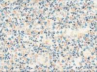 Blätter creme Blätter creme