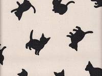 Katzen weiß (Canvas) Katzen weiß (Canvas)