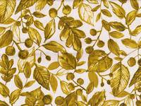 Autumn leaves yellow Autumn leaves yellow