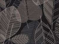 Natural Elegance black Natural Elegance black