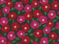 Tsubaki grün Tsubaki grün