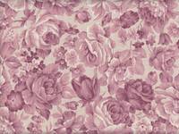 Rosen pink Rosen pink