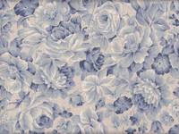 Rosen blau Rosen blau