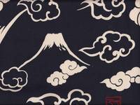 Fuji (Canvas) schwarz-blau