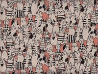 Cats salmon Cats salmon