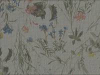 Gräser grün Gräser grün