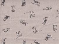 Katze Fabius natur Katze Fabius natur